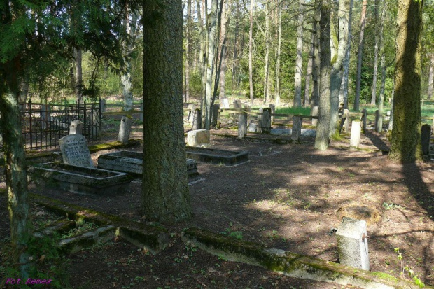 Karwica. Wiejski cmentarz. Fot. Remes. Źródło: www.fotosik.pl [22.07.2014]
