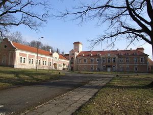 Pałac w Dobrocinie