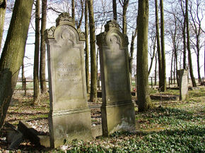 Cmentarz mennonicki w Wikrowie. © Stanisław Kuprjaniuk