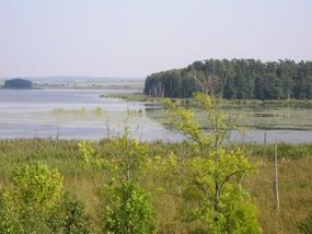 Jezioro Oświn.Fot. Eume. Źródło: commons.wikimedia.org