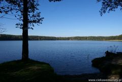 Jezioro Sasek Wielki.Fot. Tadeusz Plebański. Źródło: www.ciekawemazury.pl [21.06.2014]