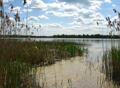 Jezioro Woszczelskie Ciekawe Mazury [02.07.2014]