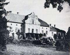 Januszewo. Pałac w początkach XX wieku.Źródło: www.aefl.de