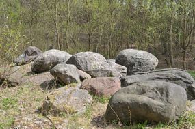 Grupa głazów narzutowych w Lidzbarku Warmińskim ©Alicja Szarzyńska