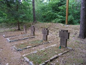 Makosieje. Groby żołnierzy niemieckich Strona poświęcona cmentarzom wojennym [14.09.2014]