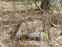 Pozostałości cmentarza ewangelickiego Polska Niezwykła [04.07.2014]