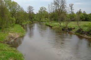 Rzeka Omulew. Autor: Robrobx. Źródło: Commons Wikimedia