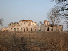 Ruiny pałacu w Topolnie Wielkim. Fot. Viola Czyżewska, 2010 r. Źródło: www.polskiezabytki.pl [13.11.2014]