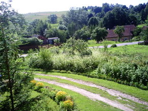 Dwórzno. Dróżka przez wieś.Źródło: www.gorowoilaweckie.wm.pl