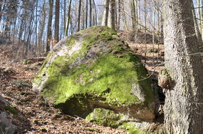Głaz narzutowy "Wielki Kamień" © Alicja Szarzyńska