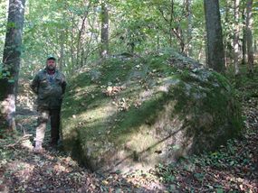 Głaz narzutowy "Diabelski Kamień" koło Sarnik ©Alicja Szarzyńska