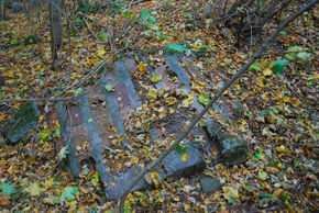 Ruiny w parku dworskim