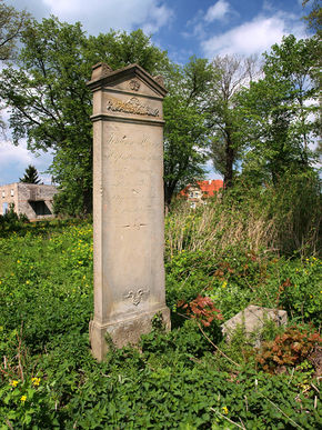 Cmentarz mennonicki w Stalewie. © Stanisław Kuprjaniuk