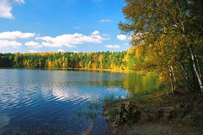 Jezioro Jasne, fot. S. Blonkowski, Nadleśnictwo Susz
