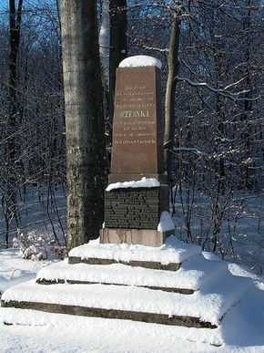Pomnik ku czci Georgowi Jacobowi Steenke. © Stanisław Kuprjaniuk
