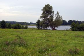 Jezioro Mojtyny.Fot. Mieczysław Kalski