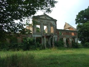 Limża. Ruiny pałacu. 2011