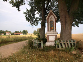 Kapliczka przydrożna w Trutnowie. © Stanisław Kuprjaniuk