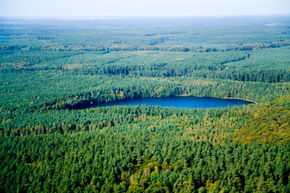 Lasy Iławskie – widok z lotu ptaka. Źródło: www.gmina-ilawa.pl [22.10.2014]