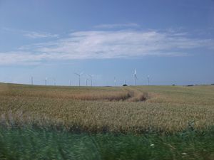 Elektrownia wiatrowa koło Kisielic.Fot. Dosp84. Źródło: Commons Wikimedia