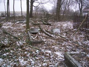 Zniszczały cmentarz ewangelicki w Boćwince