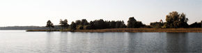 Brzeg Jeziora Dobskiego w okolicy wsi Doba. Fot. Jhh. Źródło: Commons Wikimedia [22.10.2014]