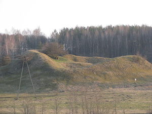 Grodzisko we wsi Nielbark.Fot. Czonek. Źródło: Commons Wikimedia
