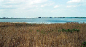 Widok na jezioro Łuknajno.Fot. ABach. Źródło: Commons Wikimedia