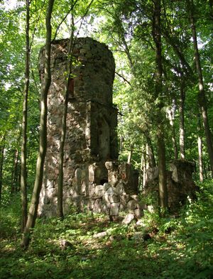 Ruiny Wieży Bismarcka. Fot. Janericloebe. Źródlo: Commons Wikimedia