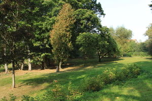 Park w Jędrychowie. Fot. E.redelbach. Źródło: Commons Wikimedia