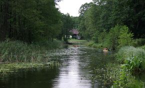 Spływ kajakowy rzeką Sapiną. Fot. Janericloebe. Źródło: Commons Wikimedia [24.10.2014]