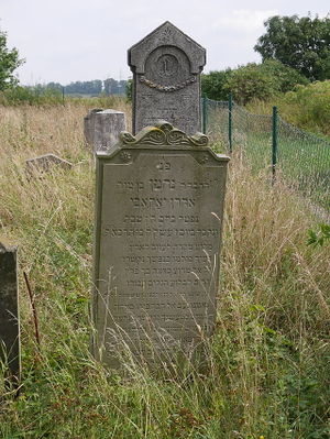Zalewo, cmentarz żydowski. Fot. WiktorN.PL. Źródło: Commons Wikimedia