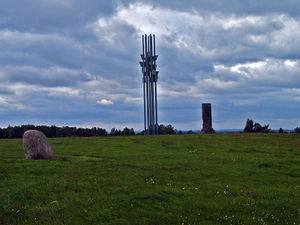 Pole bitwy pod Grunwaldem.Fot. Andrzej Barabasz. Źródło: Commons Wikimedia
