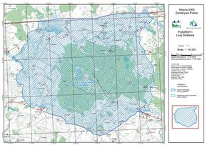 Lasy Skaliskie – mapa, źródło: Regionalna Dyrekcja Ochrony Środowiska w Olsztynie