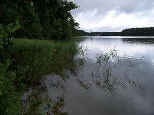 Jezioro Wiartel.Autor: Zoobek. Źródło: Commons Wikimedia