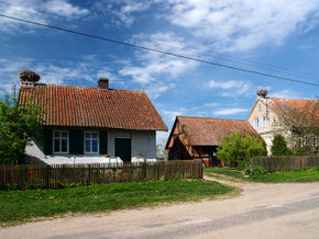 Bociania wieś we Lwowcu. © Stanisław Kuprjaniuk
