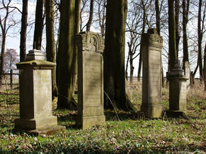 Cmentarz mennonicki w Wikrowie. © Stanisław Kuprjaniuk