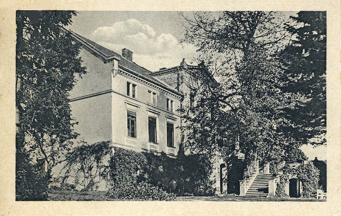 Plik:Pałac w Limży. 1927.jpg