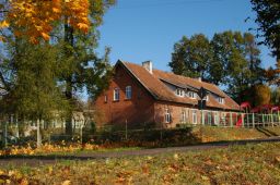 Plik:P29.jpg