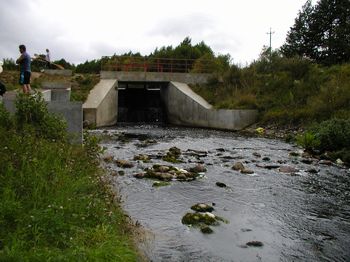 Plik:Grabacz.jpg