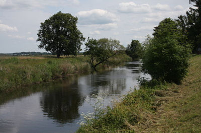 Plik:Pasle.jpg