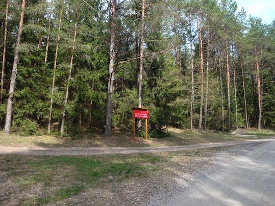 Plik:Stru.jpg