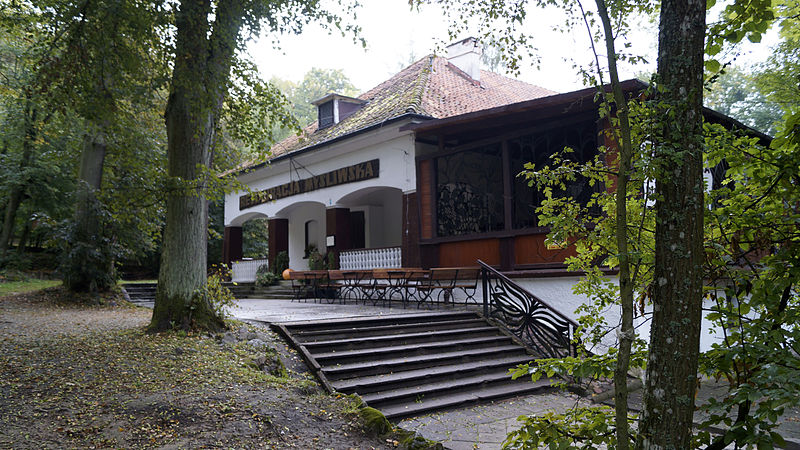 Plik:Restauracja myśliwska1.jpg
