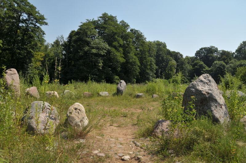 Plik:Monte.jpg