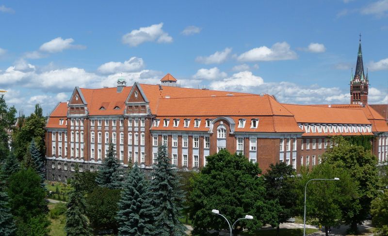 Plik:Siedzibaum.jpg