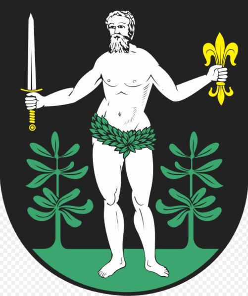 Plik:Nidzicah.jpg
