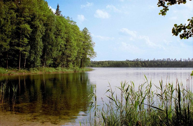 Plik:Jegocin.jpg