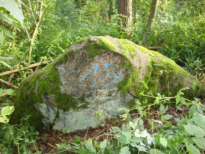 Plik:Krzyzany.jpg