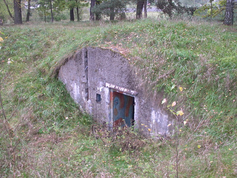 Plik:Piska-bierny.jpg