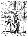Miniatura wersji z 14:20, 24 sty 2015